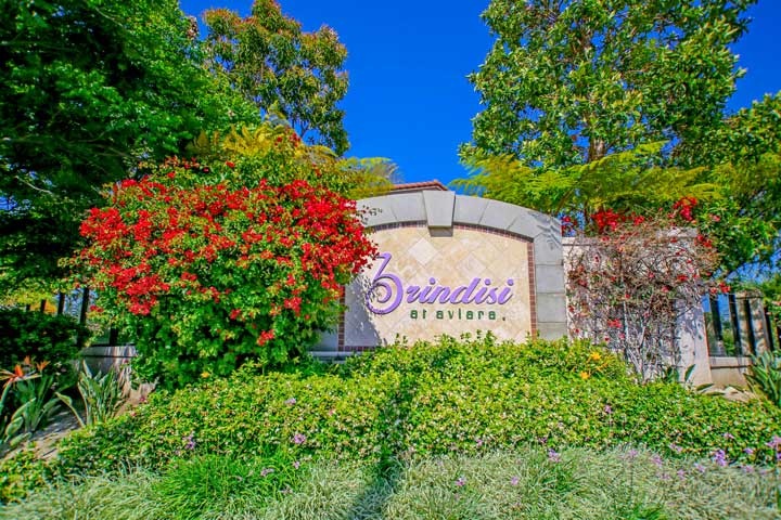 Brindisi Community Homes For Sale In Carlsbad, California